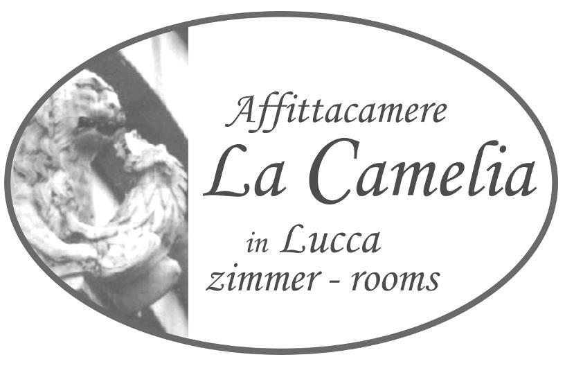 Affittacamere La Camelia Лукка Экстерьер фото